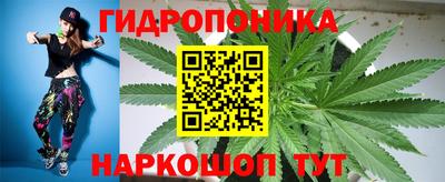 PSILOCYBIN Баксан