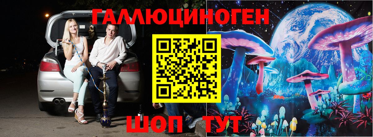 Белебей  Псилоцибиновые грибы Psilocybe  Вход с VPN 